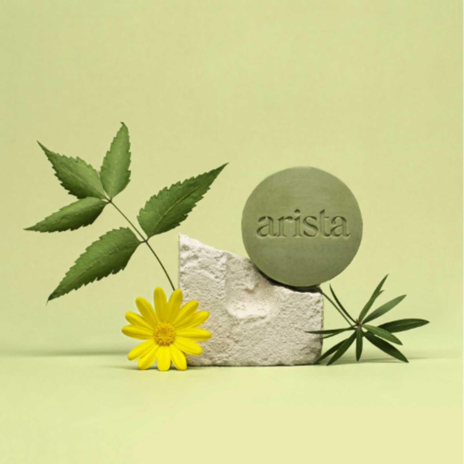 bambaw-arista-shampoo-bar-anti-schuppen-tea-tree-60g image 7